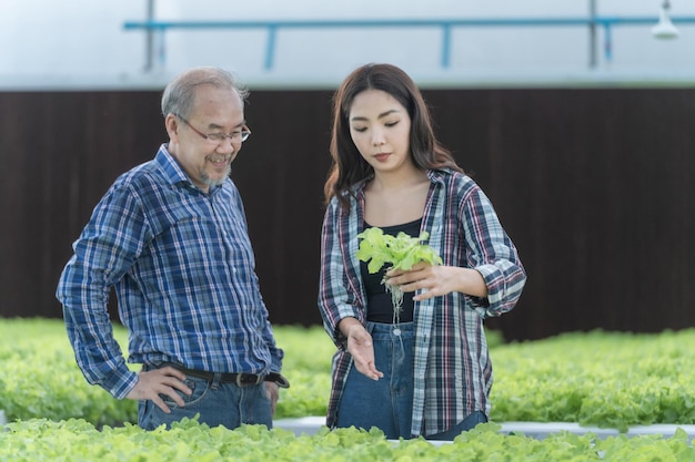 Agricultor trabalhador sênior verificando hidroponia vegetal de alface em estufa