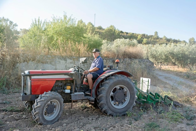Un agricultor en un tractor conduce por el campo agrícola Habilidades de gestión agrícola y trabajos de la tierra Agricultura agrícola Granja rural