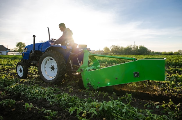 Foto agricultor en un tractor excava patatas cosechando las primeras patatas a principios de la primavera tierras agrícolas