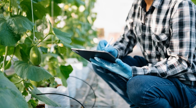 Agricultor usando computador tablet digital em aplicação de tecnologia de campo em atividade de cultivo agrícola xA