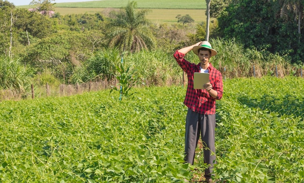 Agricultor usando computador tablet digital em plantação de soja cultivada em campo. aplicação de tecnologia moderna na atividade agrícola.