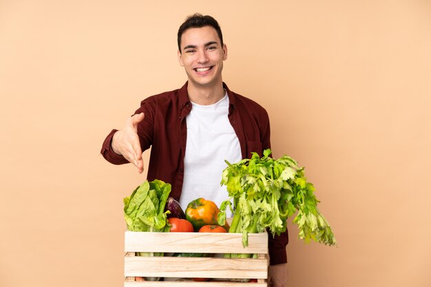 Agricultor con verduras recién cortadas en una caja aislada en la pared beige estrechándole la mano para cerrar un buen negocio