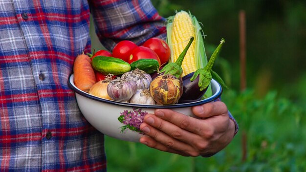 Agricultor con verduras recién recogidas de la granja