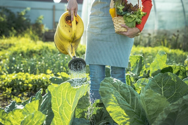 Agricultora agrônoma feminina irriga plantas de um regador amarelo em seu jardim a alegria de cuidar de sua fazenda