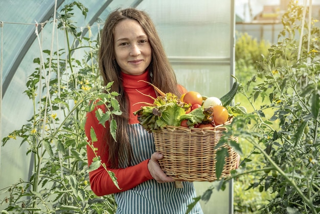 Agricultora agrônoma jovem coleta tomates vegetais frescos em uma estufa Produtos crus orgânicos cultivados em um jardim