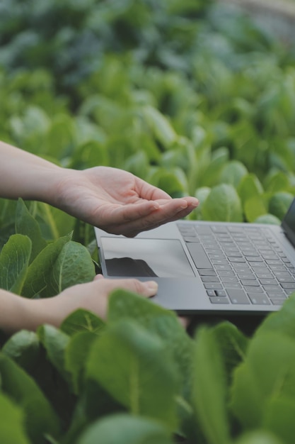 Foto agricultora asiática usando tablet digital em horta em estufa conceito de tecnologia agrícola de negócios qualidade agricultora inteligente