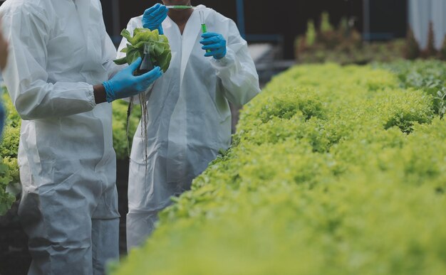 Foto agricultora asiática usando tablet digital em horta em estufa conceito de tecnologia agrícola de negócios qualidade agricultora inteligente