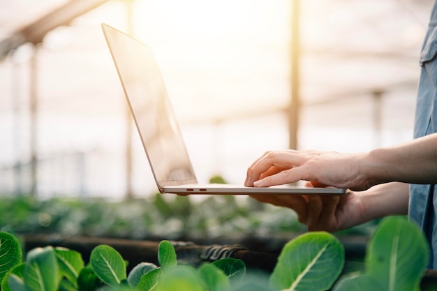 Agricultora asiática usando tablet digital em horta em estufa Conceito de tecnologia agrícola de negócios qualidade agricultora inteligente