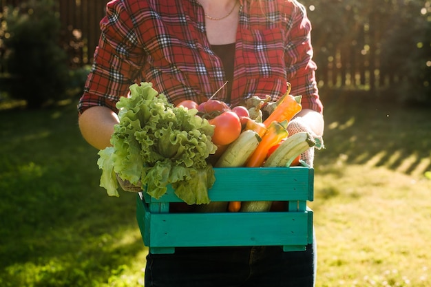 Agricultora carregando caixa de hortaliças colhidas e colhendo produtos agrícolas para online