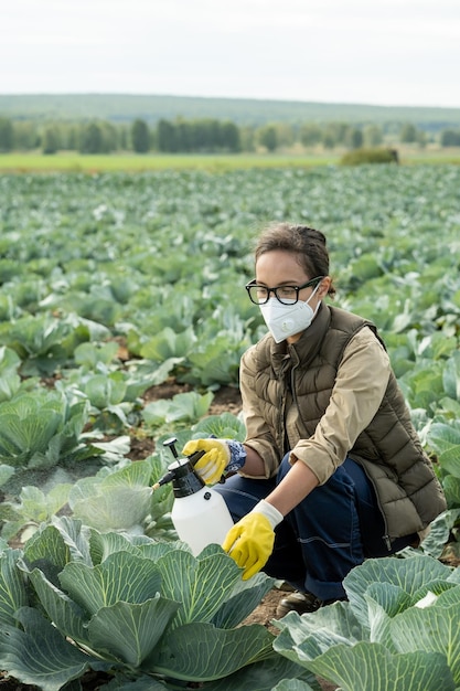 Agricultora de hortaliças usando respirador e luvas borrifando repolho para remover pesticidas