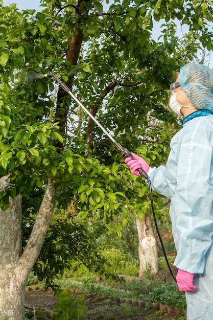 Agricultora em um traje de proteção está pulverizando macieiras contra doenças fúngicas ou vermes.