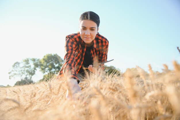 Una agricultora examina el campo de cereales y envía datos a la nube desde la tableta Agricultura inteligente y agricultura digital