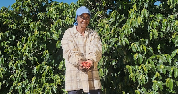 Agricultora latina mostrando grãos de café vermelhos colhidos nas mãos