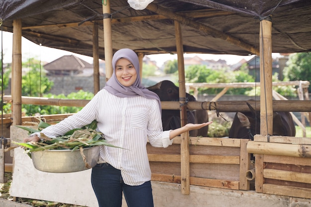 La agricultora musulmana alimentando animales en la granja tradicional