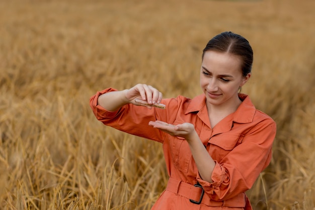 Una agricultora o agrónoma está vertiendo granos de trigo en sus manos. Concepto de cosecha madura. Control de la calidad del grano