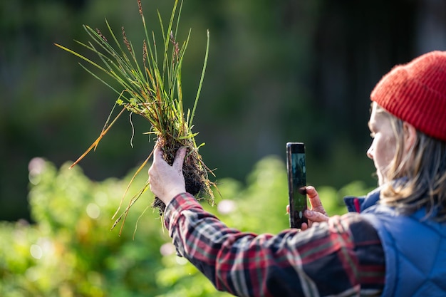 agricultora orgánica regenerativa tomando muestras de suelo y observando el crecimiento de las plantas en una granja practicando agricultura sostenible Tomando una foto con su teléfono en australia