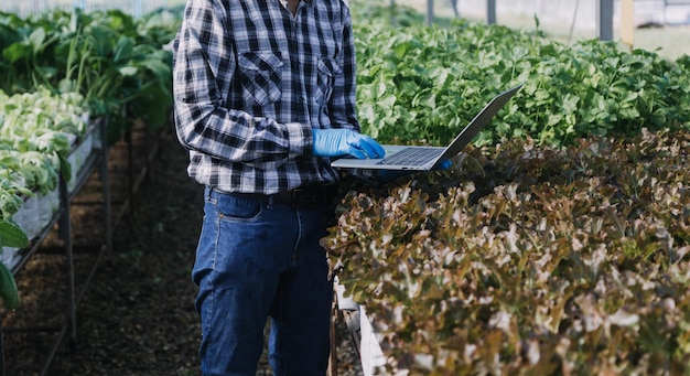 Agricultora trabajando temprano en la granja sosteniendo una cesta de madera de verduras frescas y tabletas