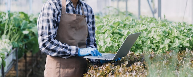 Agricultora trabajando temprano en la granja sosteniendo una cesta de madera de verduras frescas y tabletas