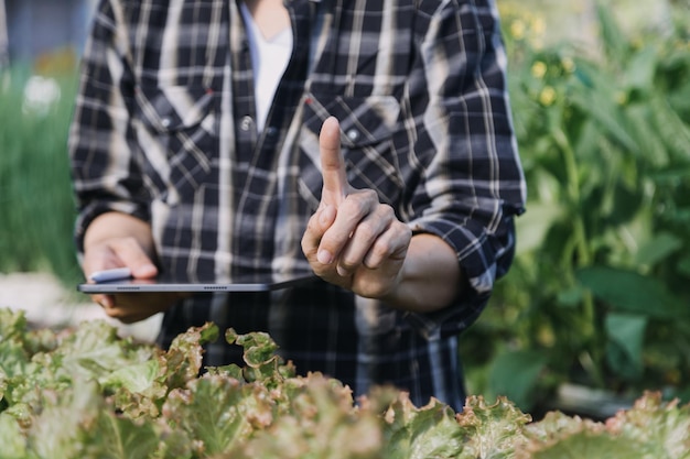 Foto agricultora trabajando temprano en la granja sosteniendo una cesta de madera de verduras frescas y tabletas