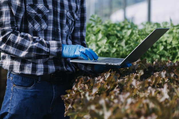 Agricultora trabajando temprano en la granja sosteniendo una cesta de madera de verduras frescas y tabletas