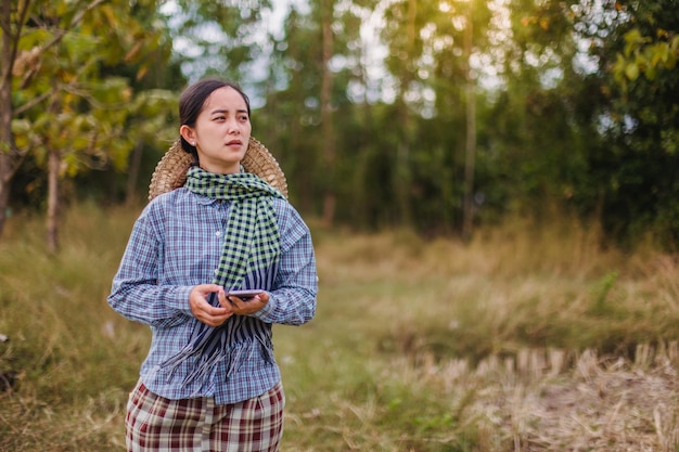 agricultora usando tecnologia móvel no campo de arroz