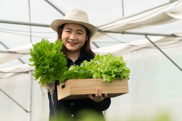 Agricultoras asiáticas colhem vegetais frescos para salada em fazendas do sistema de plantas hidropônicas