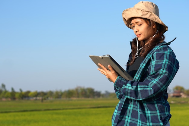 Agricultoras asiáticas usam computadores para analisar o crescimento de plantas de arroz