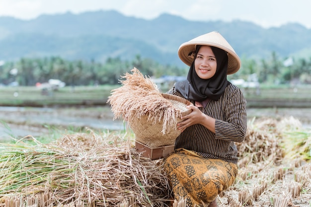 Las agricultoras musulmanas asiáticas cultivan sus cultivos de arroz con cestas de bambú tejidas en los campos de arroz