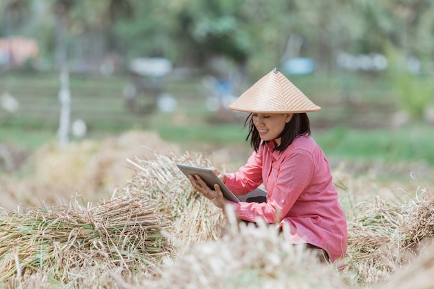 Las agricultoras usan sombreros cuando se ponen en cuclillas usando tabletas en los campos de arroz