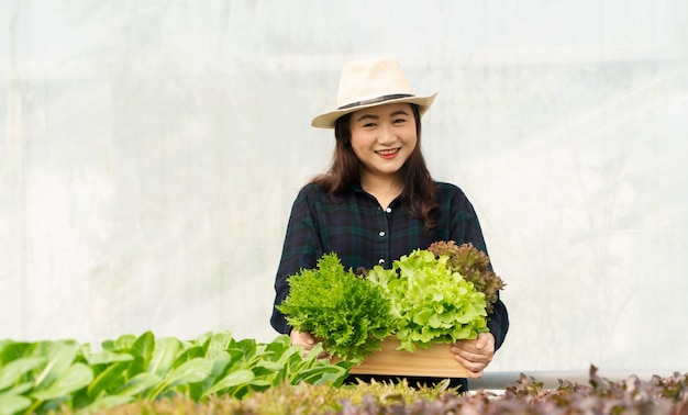 Los agricultores asiáticos cosechan ensaladas frescas en granjas de sistema de plantas hidropónicas