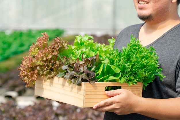 Agricultores asiáticos manos llevando vegetales orgánicos frescos en caja de madera de la granja hidropónica