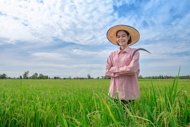 Agricultores asiáticos mujeres están mirando con caras sonrientes en campos de arroz verde y cielos azules.