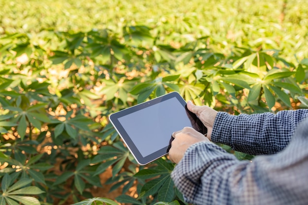 Foto los agricultores asiáticos utilizan tabletas digitales para recopilar información y analizar los cultivos en sus campos.