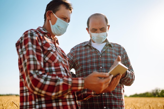 Agricultores com máscaras médicas estéreis discutem questões agrícolas em um campo de trigo Agro business Covid19