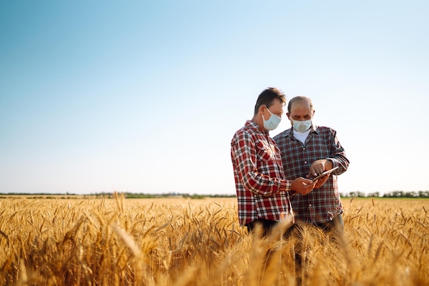 Agricultores com máscaras médicas estéreis discutem questões agrícolas em um campo de trigo Agro business Covid19