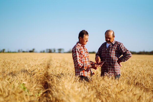 Agricultores com tablet no campo Tecnologia de agricultura moderna Conceito de agricultura inteligente