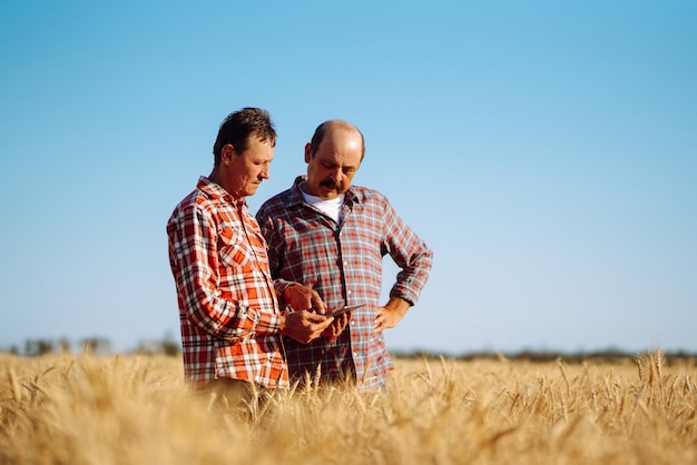 Agricultores com tablet no campo Tecnologia de agricultura moderna Conceito de agricultura inteligente