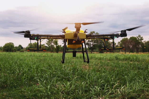 Foto agricultores estão usando remédio para pulverização de drones voadores na agricultura