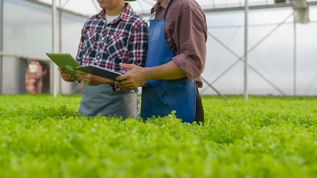 Agricultores felizes trabalhando usando tablet em uma fazenda hidropônica com efeito de estufa, comida limpa e conceito de alimentação saudável