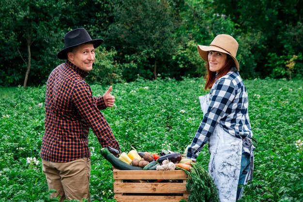 Agricultores homens e mulheres com chapéus segurando vegetais orgânicos frescos em uma caixa de madeira