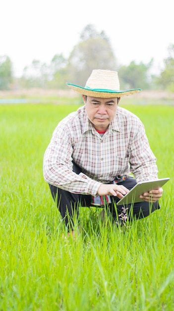 Agricultores inteligentes que usam a tecnologia de tablet IoT analisam a saúde das plantas, como umidade do solo, água e ar