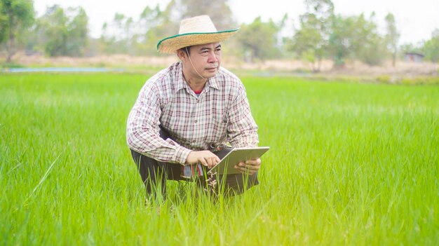 Foto los agricultores inteligentes que utilizan la tecnología de tabletas iot analizan la salud de las plantas, como la humedad del suelo, el agua y el aire.