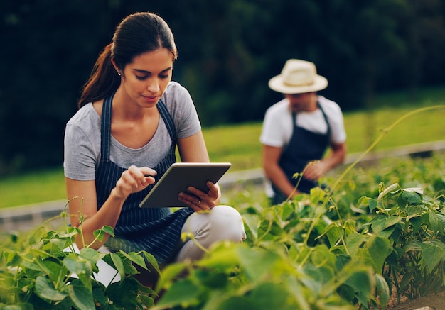 Agricultores inteligentes usan tecnología inteligente Foto de una mujer joven que usa una tableta digital mientras trabaja en un jardín con su esposo en el fondo