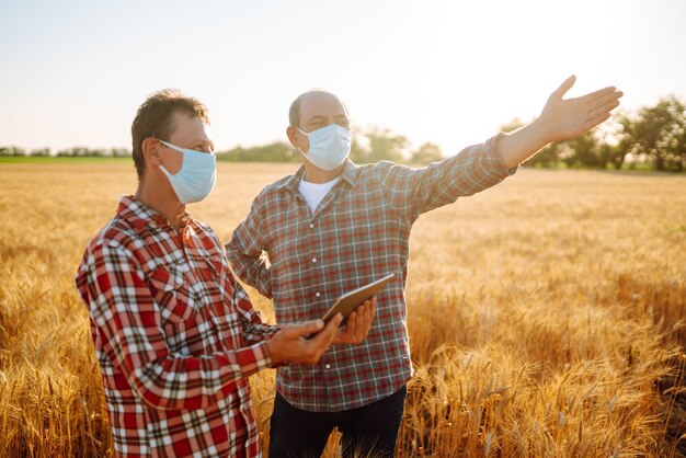 Los agricultores con máscaras médicas esterilizadas discuten cuestiones agrícolas en un campo de trigo. Agro negocio. COVID-19.