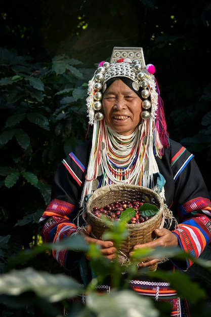 Los agricultores que cosechan granos de café Arábica en el jardín, concepto de agricultura