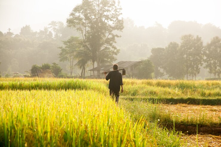 Los agricultores que llevan espadas en el campo.