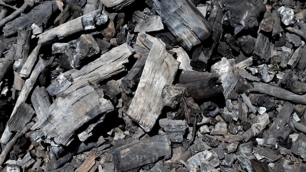 Los agricultores queman carbón vegetal de la madera cortada de la granja