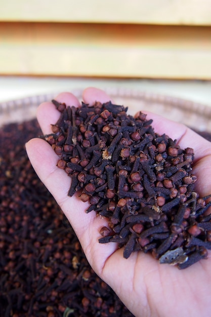 Foto agricultores segurando cravos-da-índia secos da indonésia. cravos são botões de flores secas perfumadas da família das árvores myrtaceae.