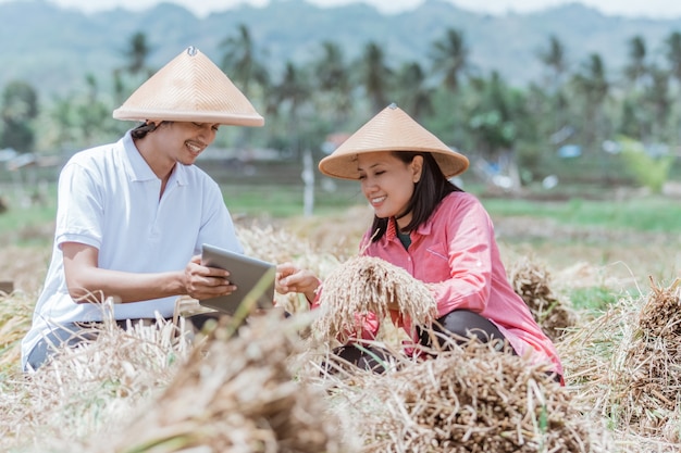 Agricultores usando capas sentam-se nos campos usando comprimidos após a colheita com bons resultados