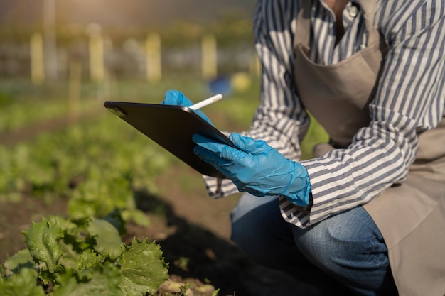 Los agricultores utilizan la principal red de información en Internet desde sus tabletas para monitorear, probar y seleccionar nuevos métodos de cultivo para los agricultores.
